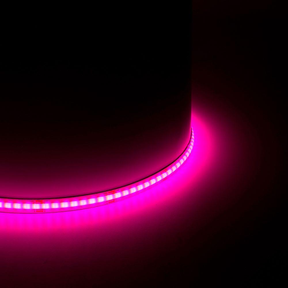 фото светодиодная лента feron 14w/m 480led/m cob rgb 5м ls531 48946 | 220svet.ru