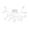 Миниатюра фото потолочная люстра freya florencia fr5049cl-27w2 | 220svet.ru