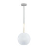 Миниатюра фото подвесной светильник loft it bolle 2030-p1 | 220svet.ru