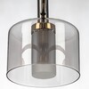 Миниатюра фото подвесная люстра на штанге citilux elan cl241171 | 220svet.ru