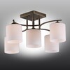 Миниатюра фото потолочная люстра omnilux pisticci oml-55317-05 | 220svet.ru