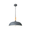 Миниатюра фото подвесной светильник arte lamp kayla a7099sp-1gy | 220svet.ru