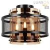 Миниатюра фото потолочный светильник lumion zarina 8007/3c черный | 220svet.ru