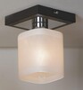 Миниатюра фото потолочный светильник lussole costanzo grlsl-9007-01 | 220svet.ru