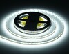 Миниатюра фото светодиодная лента холодный белый ambrella light 18w/m 240led/m 2835smd 6500к 5m gs3303 | 220svet.ru