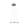 Миниатюра фото подвесной светодиодный светильник loft it ring 10014s | 220svet.ru
