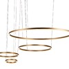 Миниатюра фото подвесной светодиодный светильник loft it ring 10017/4l | 220svet.ru