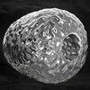 Миниатюра фото потолочная люстра lussole lsp-8720 | 220svet.ru