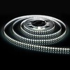 Миниатюра фото светодиодная лента elektrostandard 9,6w/m 120led/m 2835smd холодный белый 5m a043964 | 220svet.ru