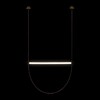 Миниатюра фото подвесной светодиодный светильник loft it liana 10221/1700 | 220svet.ru