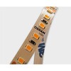 Миниатюра фото светодиодная лента italline m04-511 10m-12w-3000k | 220svet.ru