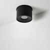 Миниатюра фото накладной светильник wertmark wta.o01.607.30.12 | 220svet.ru