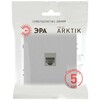 Миниатюра фото розетка эра arktik 16-3107-03 информационная rj45 алюминий б0070476 | 220svet.ru