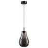 Миниатюра фото подвесной светильник светодиодный odeon light nave 5098/4lc черный | 220svet.ru