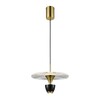 Миниатюра фото подвесной светодиодный светильник wertmark ebbo we471.02.366 | 220svet.ru