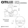 Миниатюра фото потолочная люстра на штанге citilux ronny cl242133 | 220svet.ru