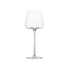 Миниатюра фото бокал стеклянный roomers tableware ns1 | 220svet.ru