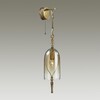 Миниатюра фото бра odeon light bell 4892/1w | 220svet.ru