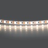 Миниатюра фото светодиодная лента 4000к 24v 10w/m lightstar 420564 | 220svet.ru