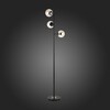 Миниатюра фото торшер evoluce sle154905-03 | 220svet.ru