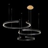 Миниатюра фото подвесной светодиодный светильник loft it ring 10025/3 black | 220svet.ru