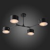 Миниатюра фото потолочная люстра evoluce gimento sle183402-04 | 220svet.ru