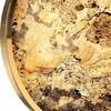 Миниатюра фото настенно-потолочный светильник odeon light bergi 5079/40l золотой | 220svet.ru