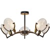 Миниатюра фото люстра toplight tl1194x-05bk | 220svet.ru