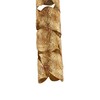 Миниатюра фото подвесной светильник favourite leaftube 4802-1p | 220svet.ru