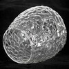 Миниатюра фото потолочная люстра lussole lsp-8720 | 220svet.ru