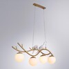 Миниатюра фото подвесная люстра arte lamp eltanin a3422sp-4go | 220svet.ru