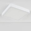 Миниатюра фото потолочный светодиодный светильник elektrostandard dls034 18w 4200k a043017 | 220svet.ru