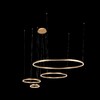 Миниатюра фото подвесной светодиодный светильник loft it ring 10017/4l | 220svet.ru
